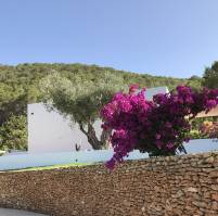 MURO_POOL_1