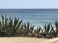 CALANOVA_14