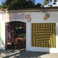 DALIAS_12